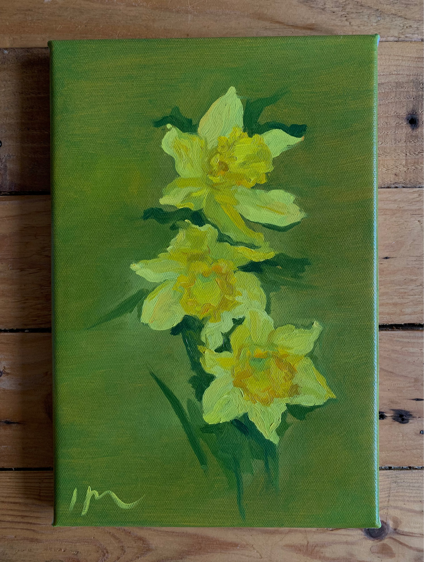 Daffodils