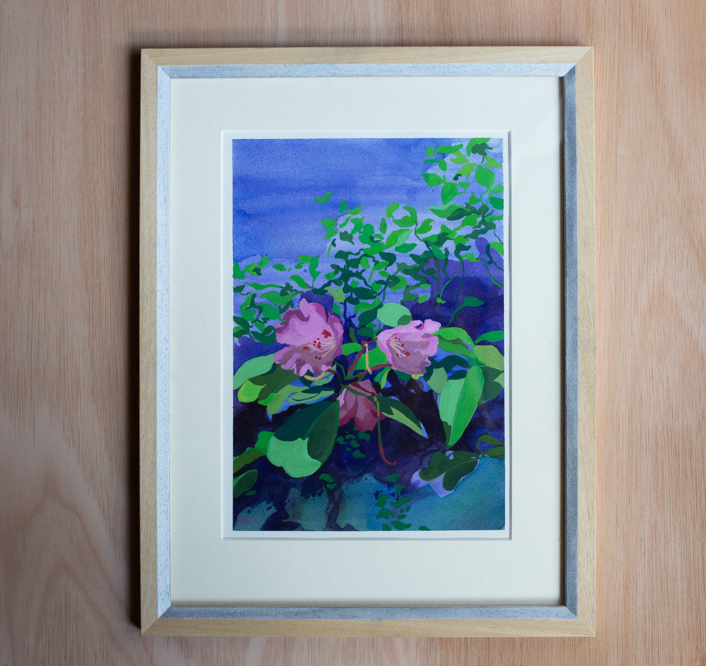 Rhododendrons