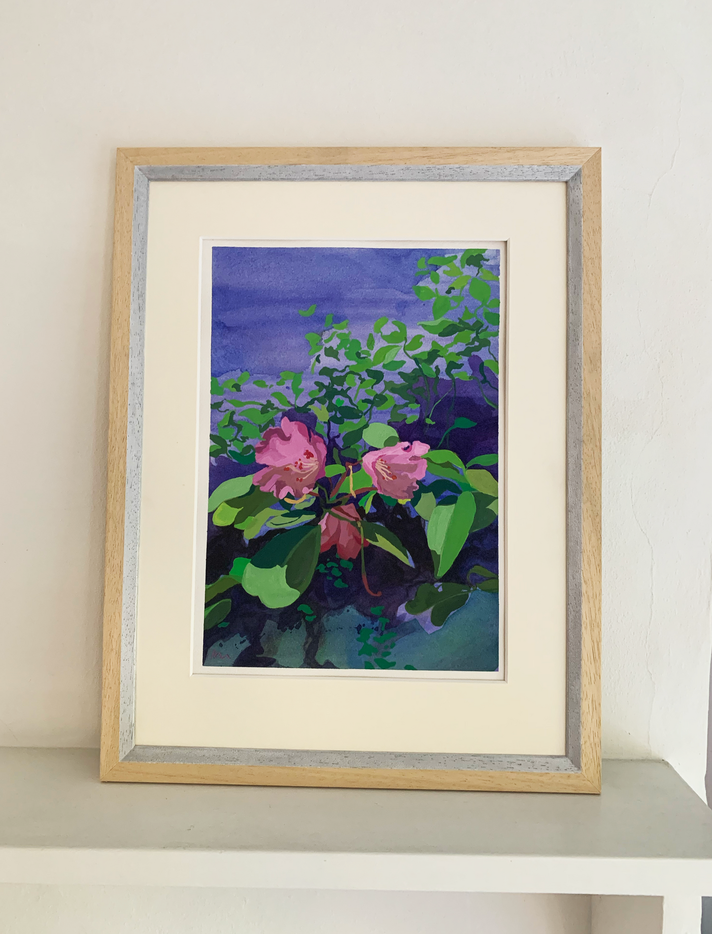 Rhododendrons