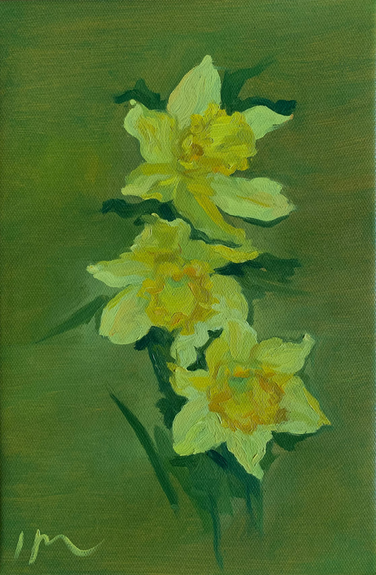 Daffodils