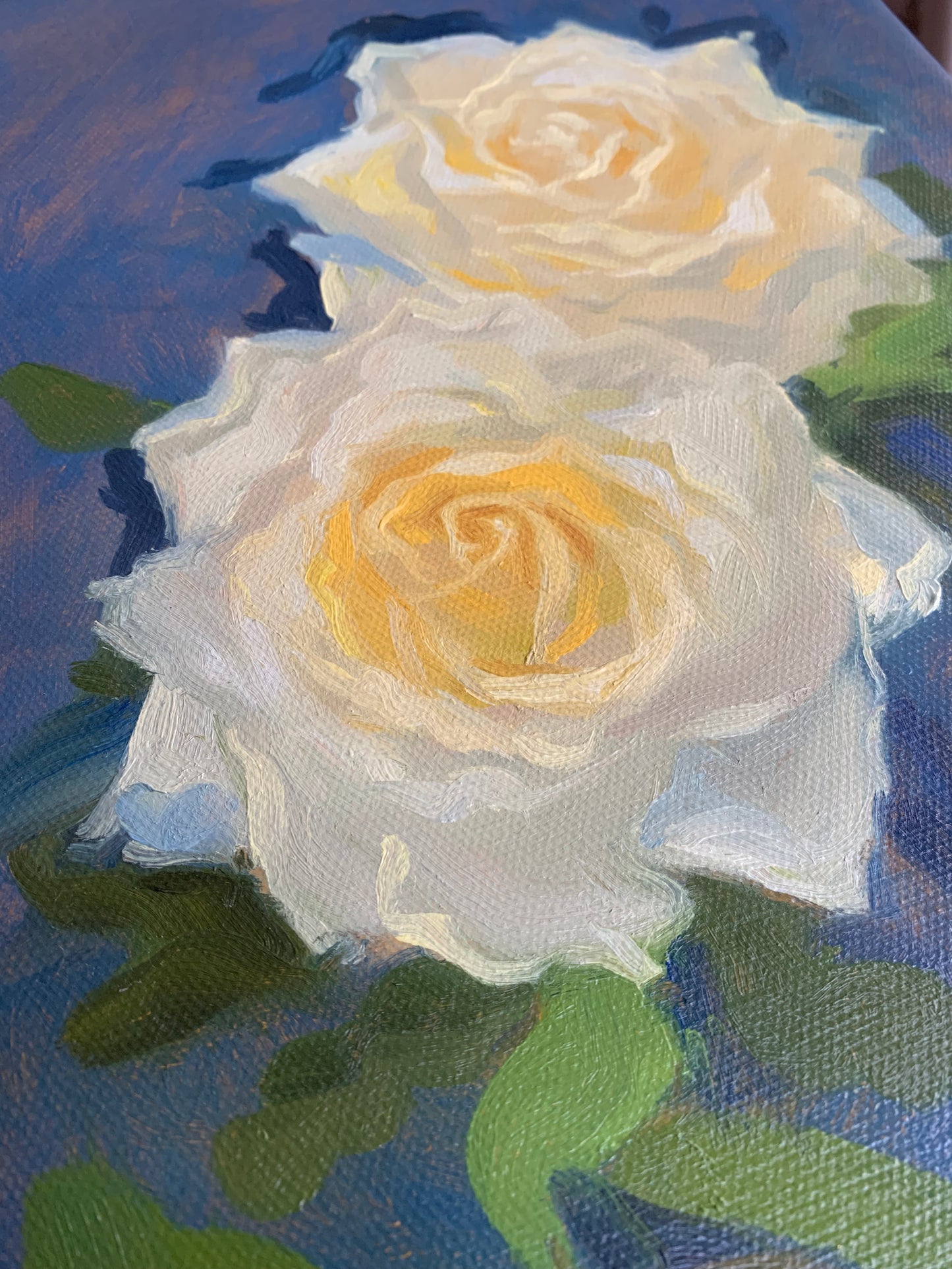 White roses