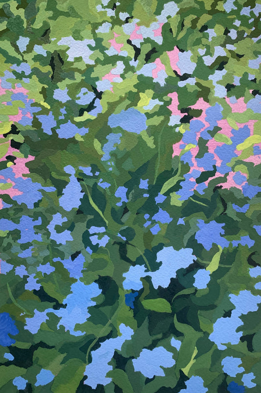 Forget me nots