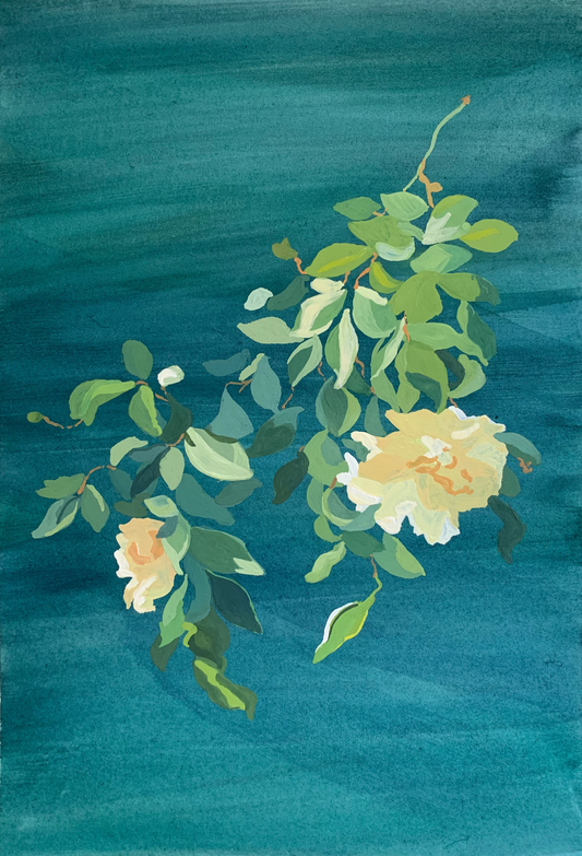 White roses