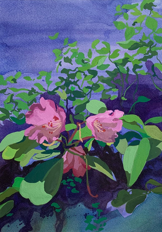 Rhododendrons