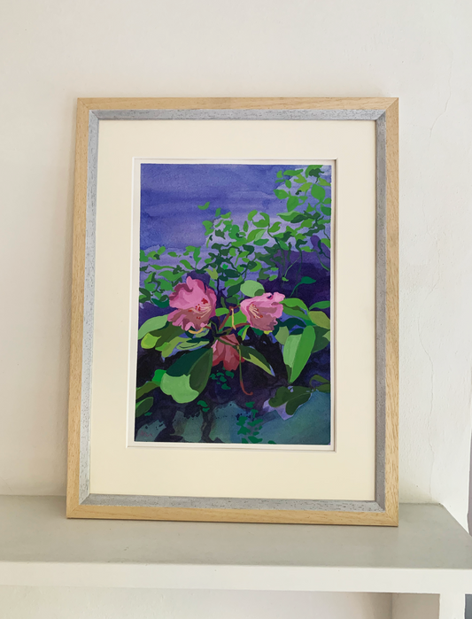 Rhododendrons